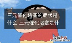 三元催化堵塞的症状是什么 三元催化堵塞是什么原因造成的