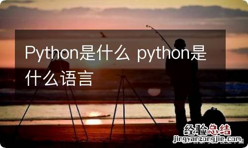 Python是什么 python是什么语言