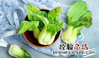 油菜一般指的什么 关于油菜的简介