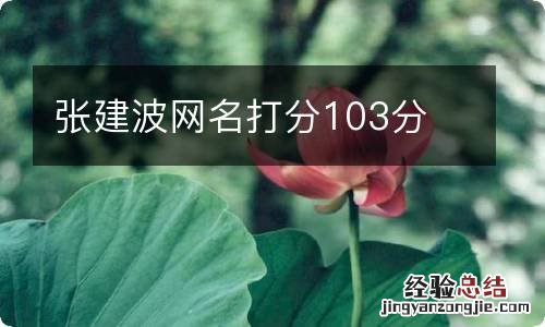 张建波网名打分103分