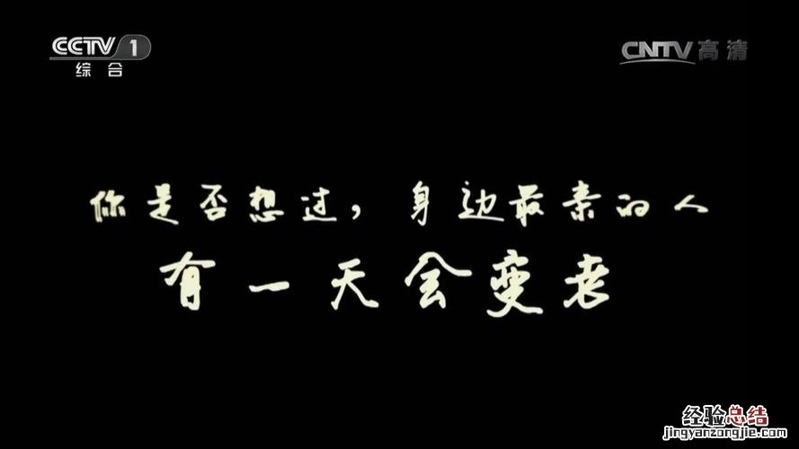 什么是亲情什么是爱情