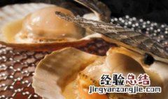 海贝能冷冻吗 海贝冷冻保存可以吗