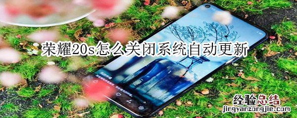 荣耀20s怎么关闭系统自动更新