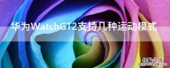 watchgt2支持多少种运动模式 华为WatchGT2支持几种运动模式