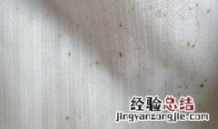 白衣服有霉点怎么洗掉妙招 白衣服有霉点怎么洗掉