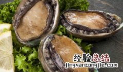 鲍鱼螺能冷冻吗 鲍鱼扇贝海螺可以冷冻吗