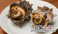 海蛎可以冷冻吗 海螺海蛎子能直接冷冻吗