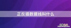 正反插数据线叫什么名字 正反插数据线叫什么