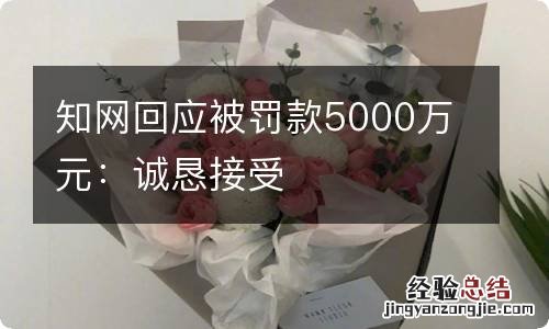 知网回应被罚款5000万元：诚恳接受