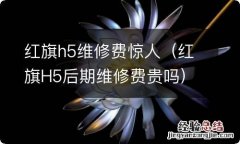 红旗H5后期维修费贵吗 红旗h5维修费惊人