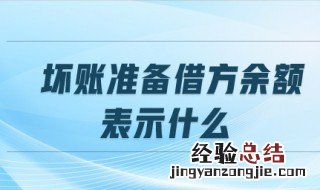 应收账款的坏账准备可以转回吗 坏账准备借方余额表示什么