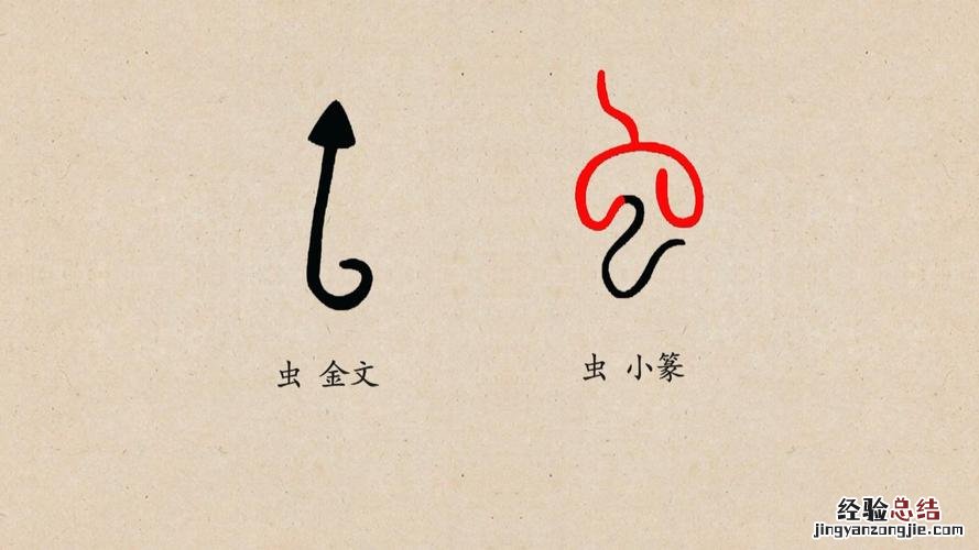 带虫字旁的有哪些字