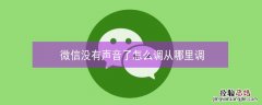 微信没有声音了怎么调从哪里调