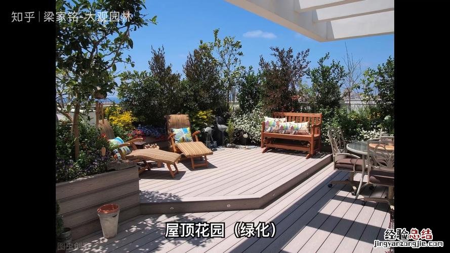 阳台如何养鸡蛋花，需要注意什么