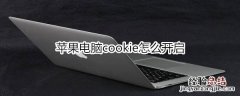 苹果电脑cookie怎么开启