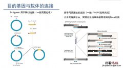 基因表达载体的组成部分有哪些