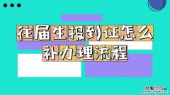 毕业生就业报到证去哪儿报到