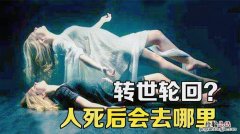 人死后意识会消失吗