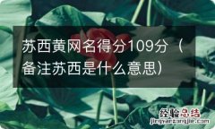 备注苏西是什么意思 苏西黄网名得分109分