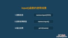 input是什么意思