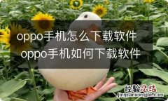 oppo手机怎么下载软件 oppo手机如何下载软件