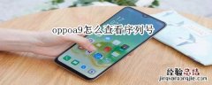 oppoa9怎么查看序列号