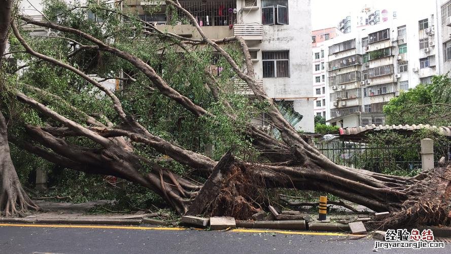 台风山竹被永久除名了吗