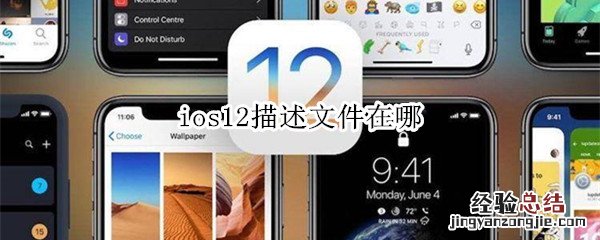 ios12描述文件在哪