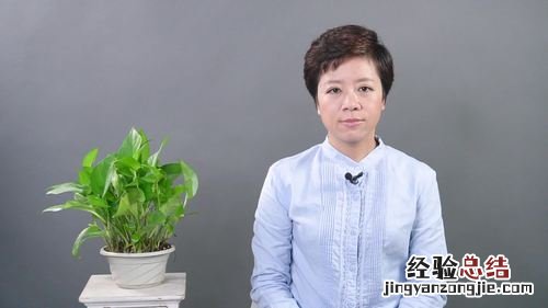 胸有成竹是什么意思