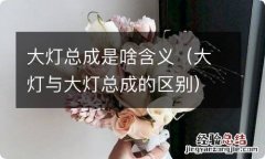 大灯与大灯总成的区别 大灯总成是啥含义