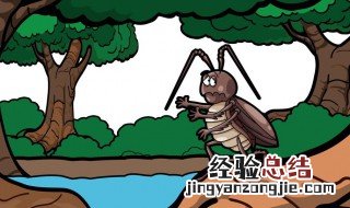 蟑螂怕什么东西 那些东西是蟑螂害怕的