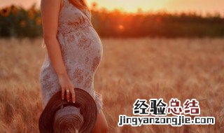孕妇可以吃裙带菜吗 裙带菜孕妇能不能吃