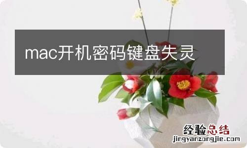 mac开机密码键盘失灵