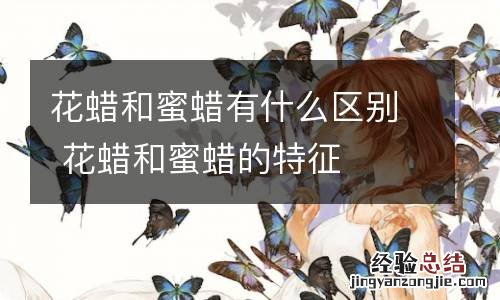 花蜡和蜜蜡有什么区别 花蜡和蜜蜡的特征