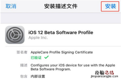 ios12描述文件怎么安装