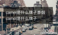 camel是什么牌子香烟 camel是什么牌子