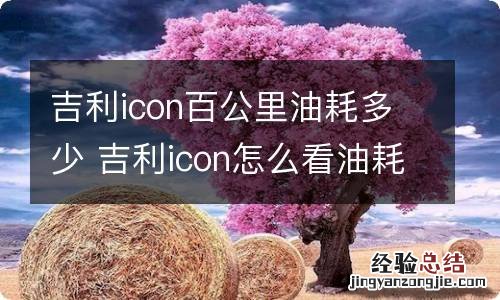 吉利icon百公里油耗多少 吉利icon怎么看油耗