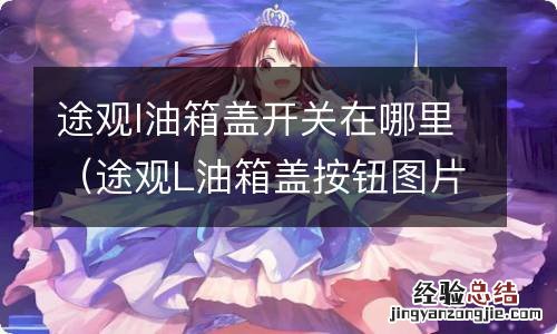 途观L油箱盖按钮图片 途观l油箱盖开关在哪里