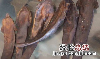 鹿尾巴的功效与作用及食用方法 鹿尾巴的功效与吃法