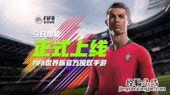 fifa是什么意思