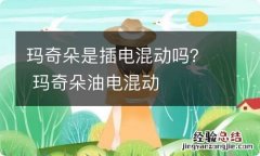 玛奇朵是插电混动吗？ 玛奇朵油电混动