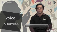 voice是什么意思