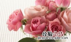 水养玫瑰花怎么养是不会谢的 水养玫瑰花怎么养才不会枯萎