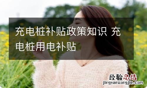 充电桩补贴政策知识 充电桩用电补贴