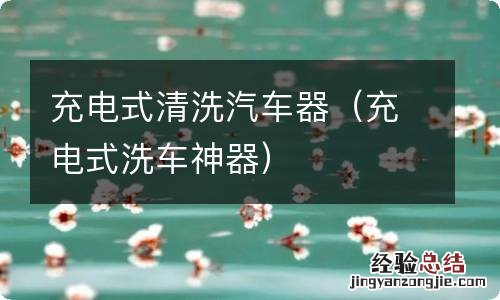 充电式洗车神器 充电式清洗汽车器