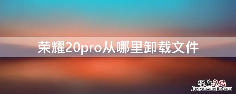 荣耀20pro从哪里卸载文件