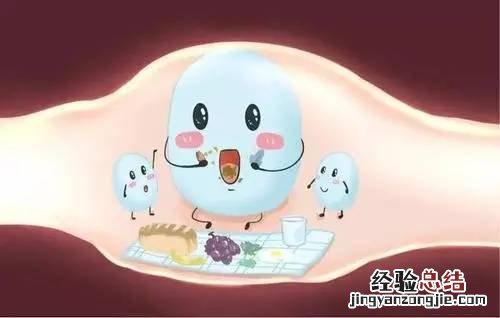 益生菌粉的作用与功效,益生菌粉可以长期吃吗