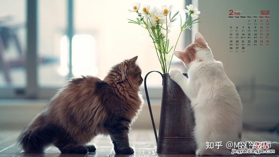 妻管严什么意思