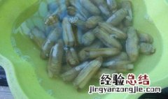 蛏子怎么处理 处理蛏子方法