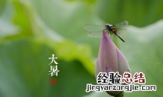 7月22号什么日子 7月22号日子简介